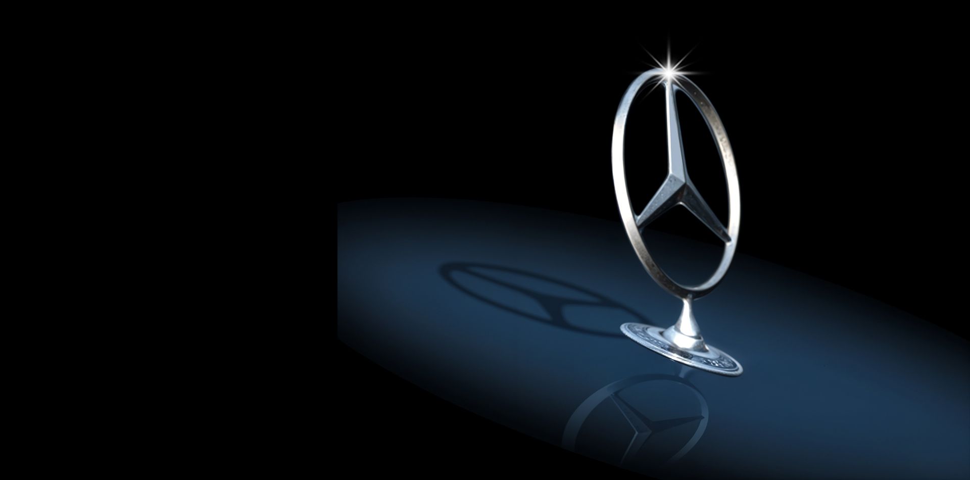 Indispensable Support for the Premium Segment